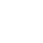 icon auto 150x150